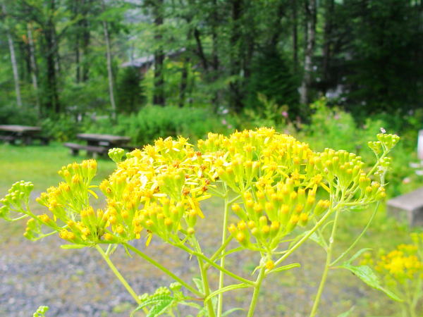 ��ƍ����n���S���\�E��