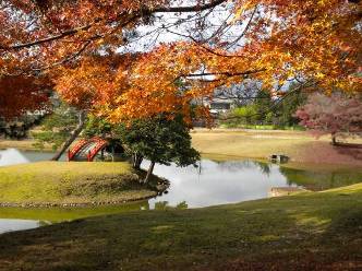 奈良大乗院庭園花探訪・大乗院庭園写真