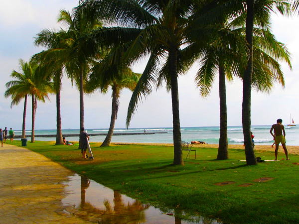 カピオラニパークのヤシの木とオアフ島の海