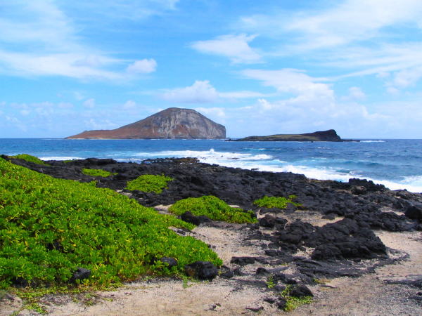 シーライフパークから見るオアフ島の海