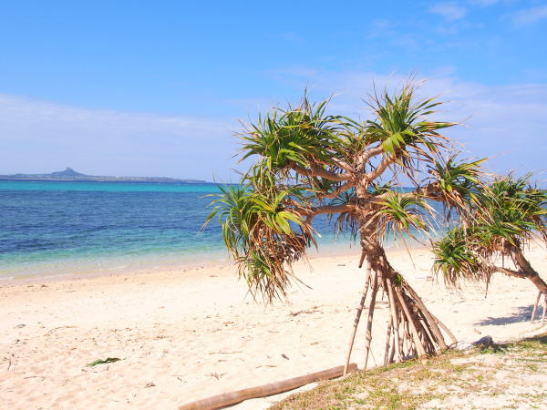 沖縄の海備瀬ビーチ