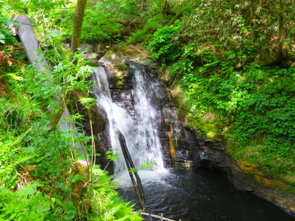 鬼首間欠泉「湯の滝」