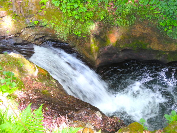 鬼首間欠泉「湯沢」