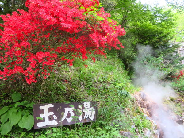 鬼首間欠泉「玉の湯」