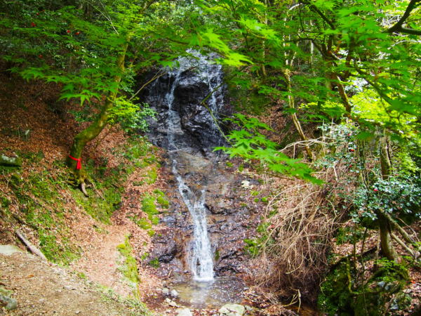 �����̑�