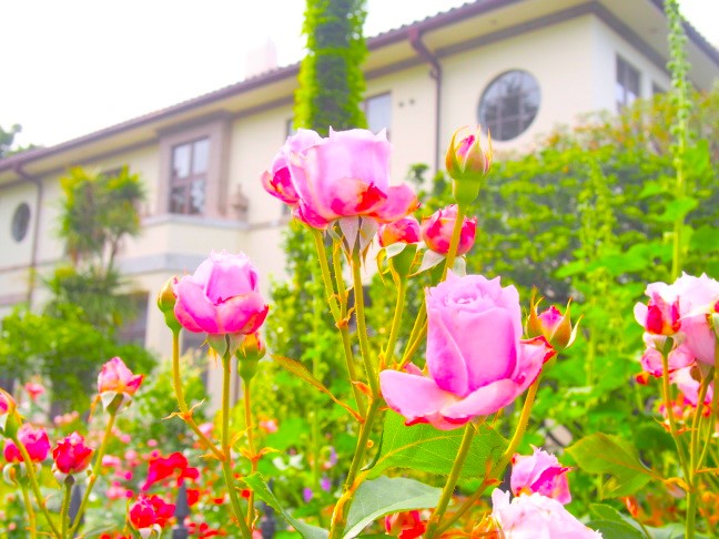 �`�̌�����u�����o����