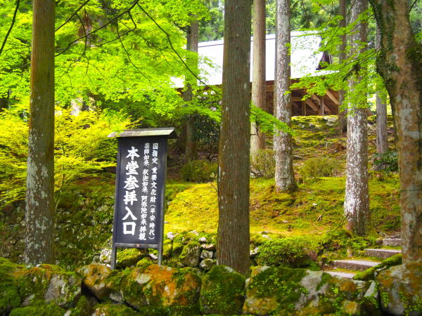 ���}�@�����ۂƐV��