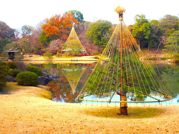 六義園庭園雪吊り