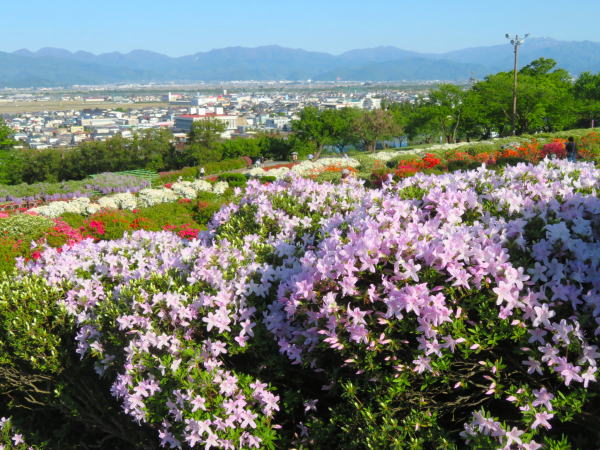 寒河江公園眺め