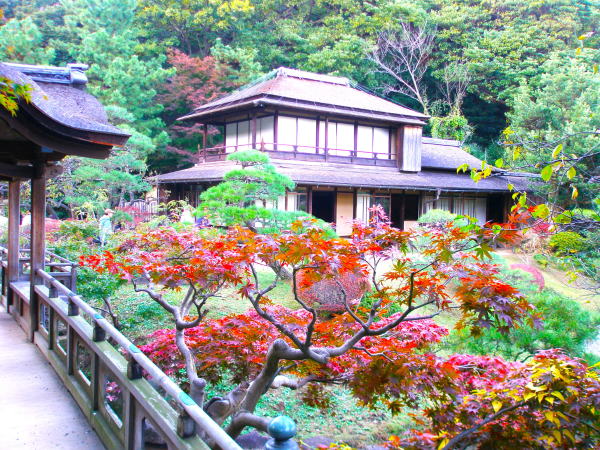 �O�k���g�t�ʐ^