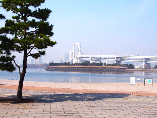お台場公園の海