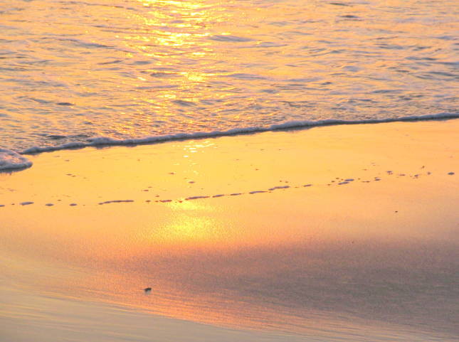 七里ヶ浜海岸の夕日画像