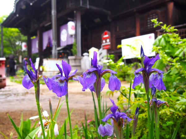 �u�x���A������