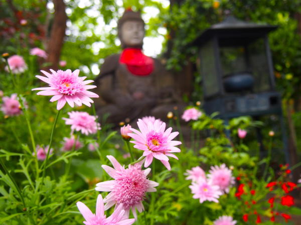 �u�x���Ε��ƃ}�[�K���b�g��