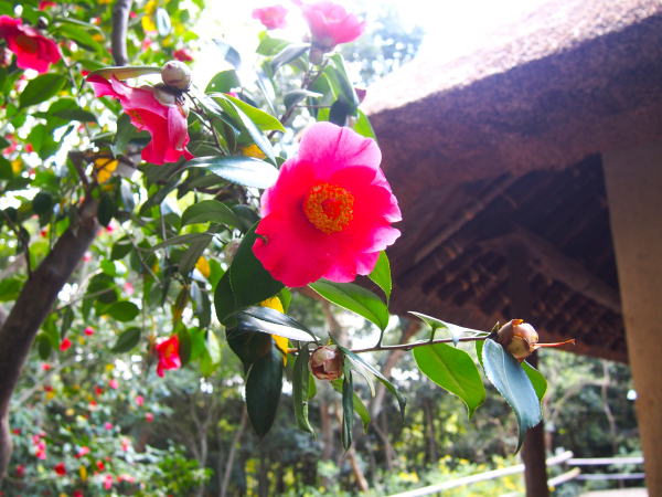 �l�������u�c�o�L��