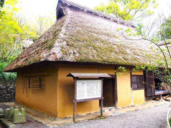 �l�����͖��