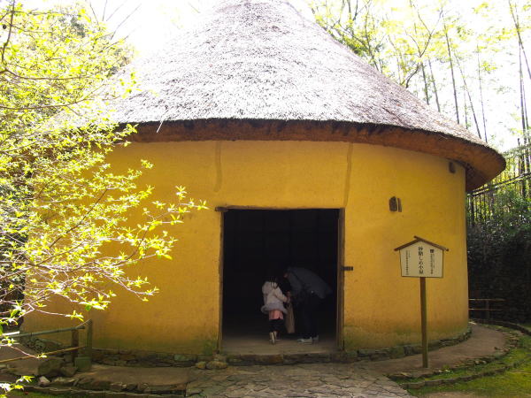 �l�����������ߏ���