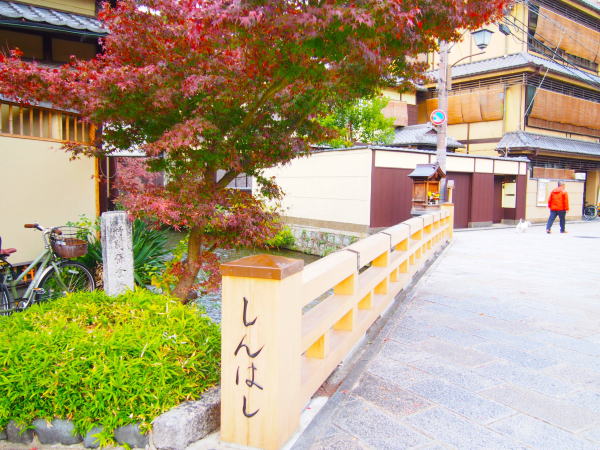 �_���V��