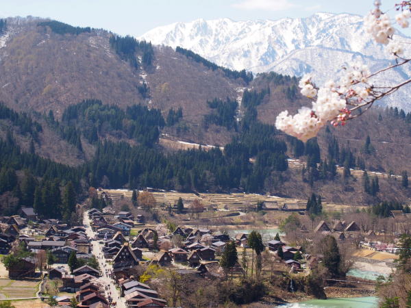 ���싽�W�]�䂩��̌i�F