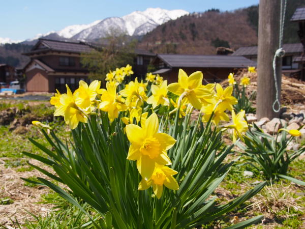 ���싽���b�p�X�C�Z����