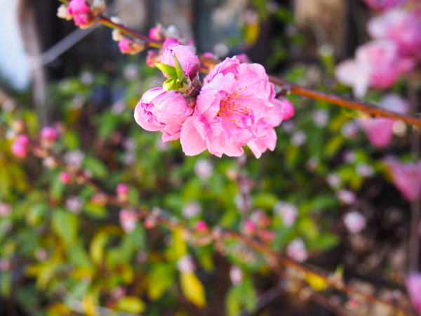 ���싽������