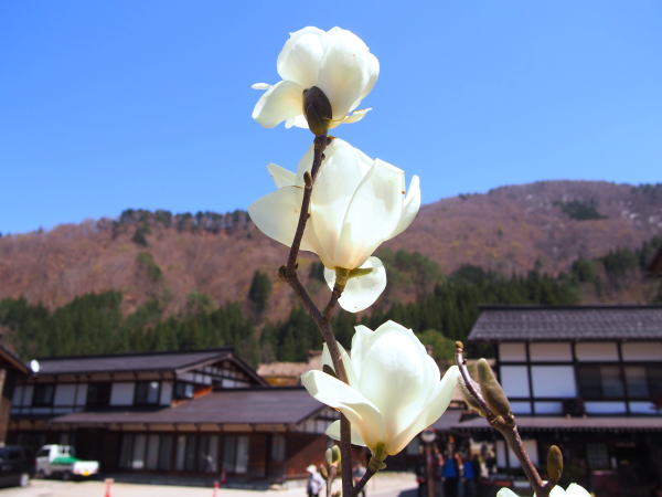 ���싽�n�N���N������