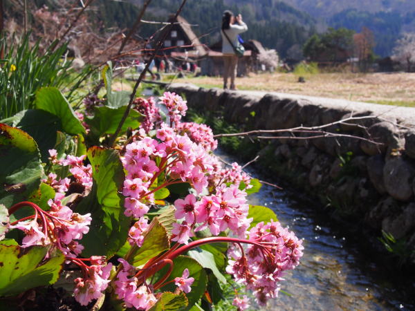 �q�}�������L�m�V�^���싽�̐��H��