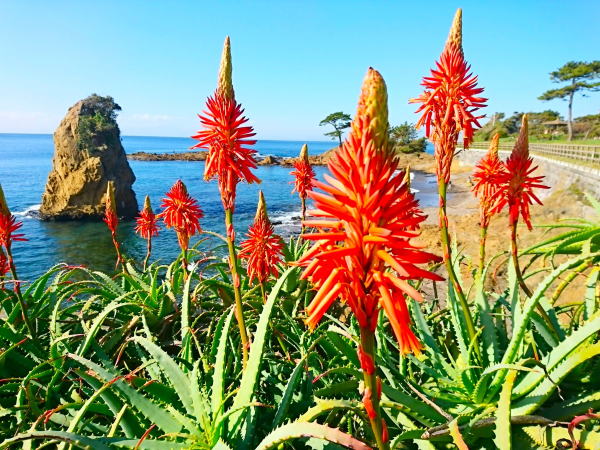 �A���G��