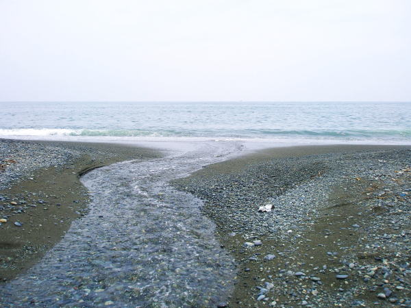 湘南の海鴫立沢