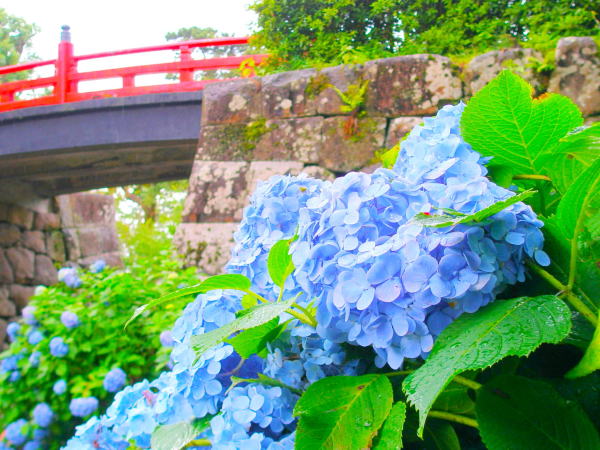 ���c����A�W�T�C