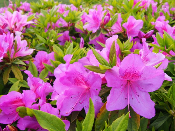 ������I�I�����T�L�c�c�W��