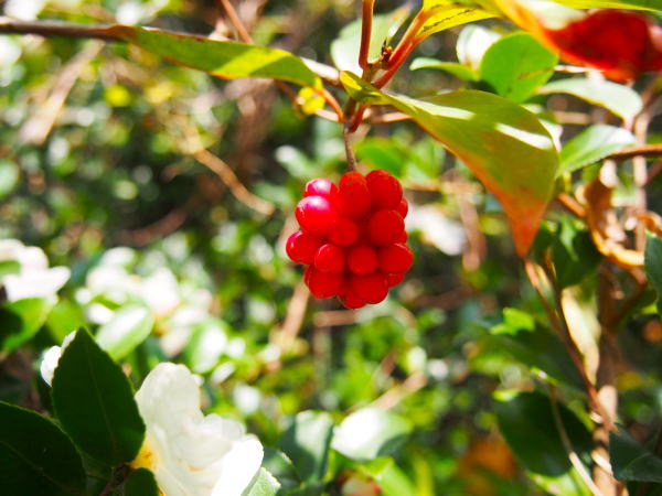 �T�l�J�Y����