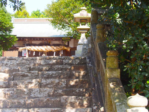 �����_�Ж{�{