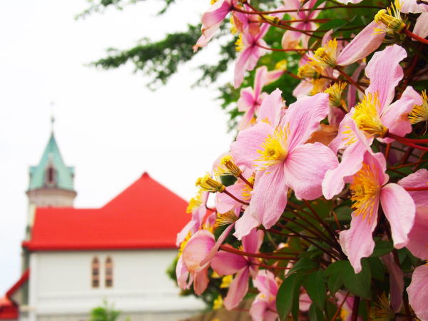 �N���}�`�X��