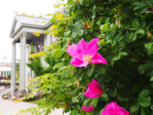 �n�}�i�X��