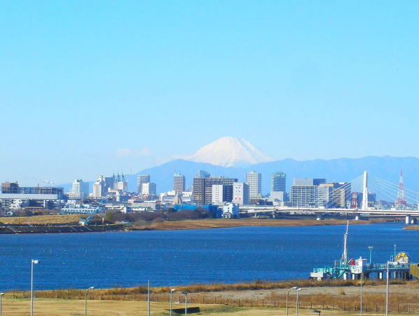 東京の海富士山