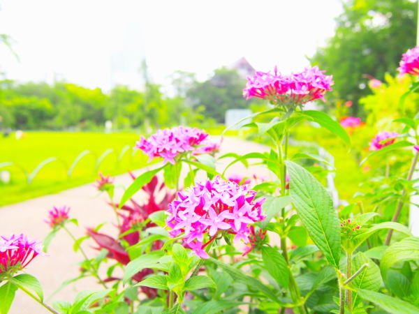 �y���^�X�ԎŌ���