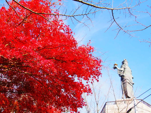 �_�ӎ��W�]��