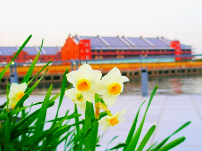 �ۂ̕@�j�z���Y�C�Z����