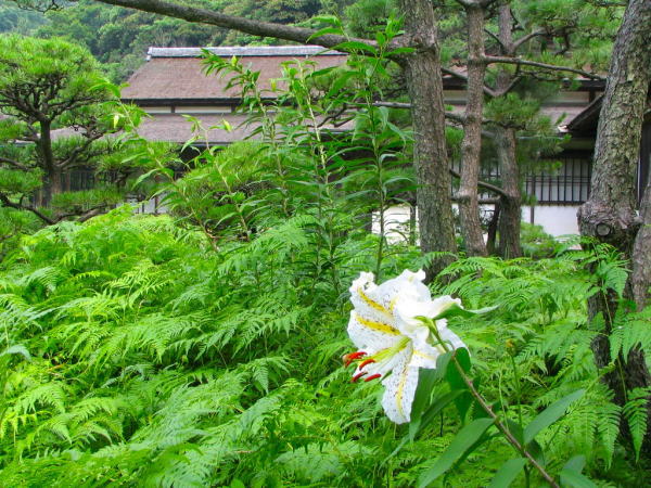 ���}�����O�k��