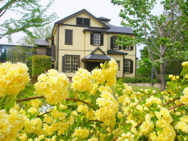 �C�^���A�R�뉀���b�R�E�o����