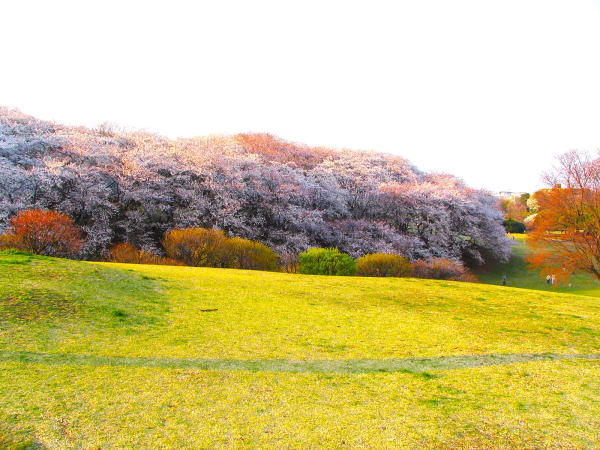 ���݌�����