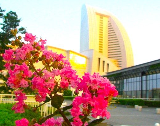 �T���X�x���̉�