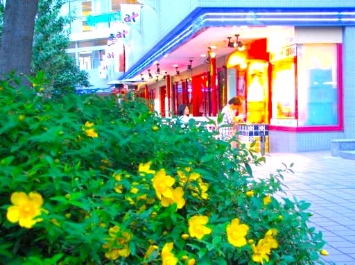 �݂ȂƂ݂炢�w�O�L���V�o�C�̉�