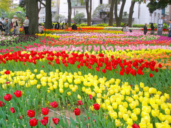 ���l�����`���[���b�v��