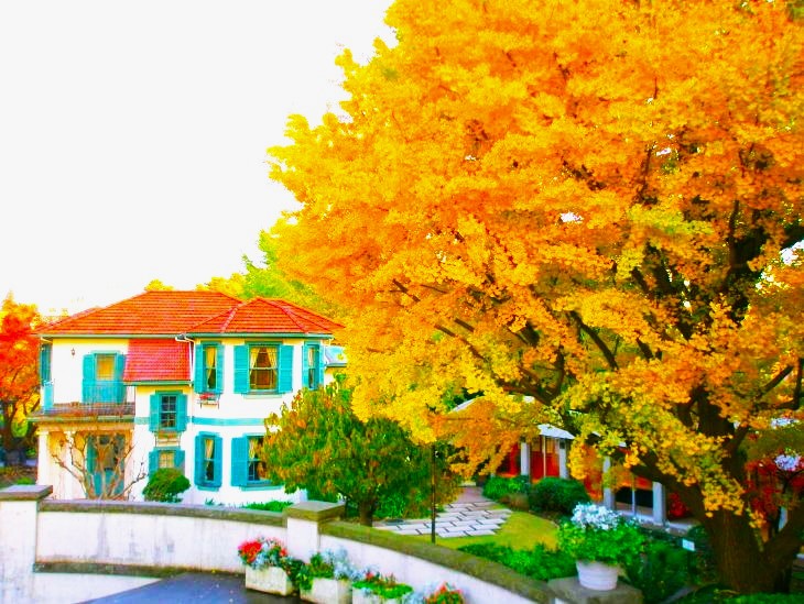 �u���t18�Ԋ�